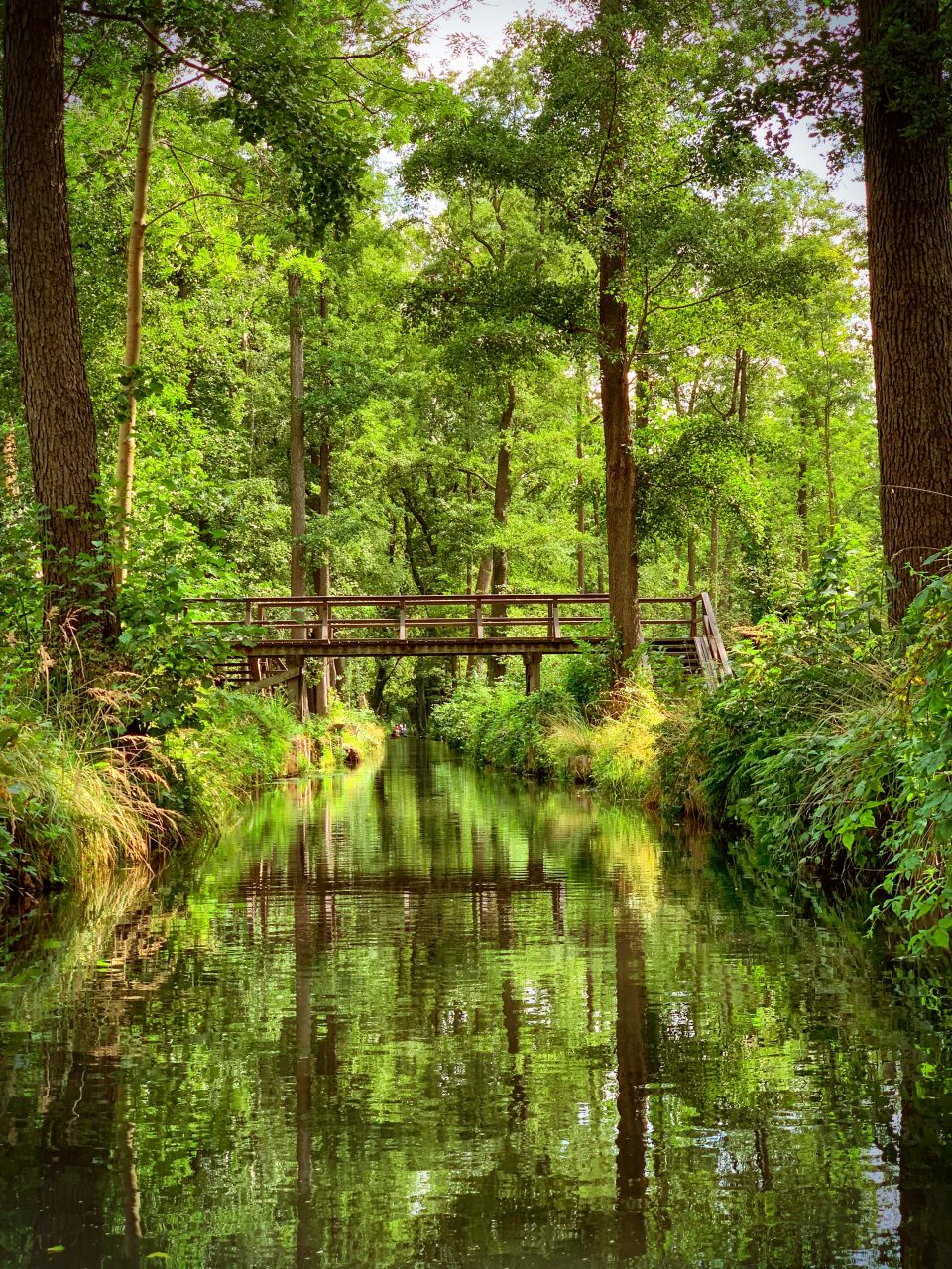 Unterwegs im Spreewald I