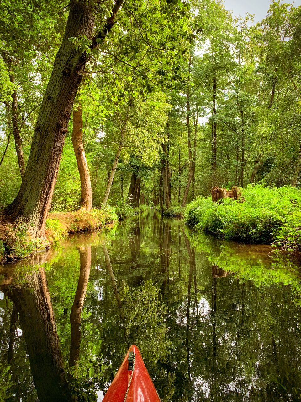 Unterwegs im Spreewald II