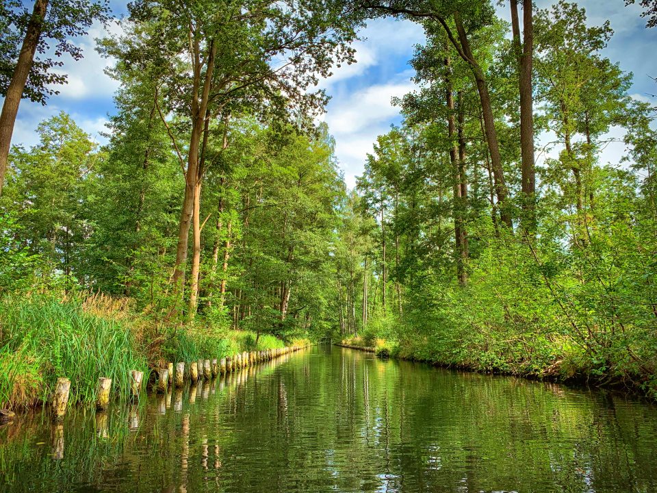 Unterwegs im Spreewald III