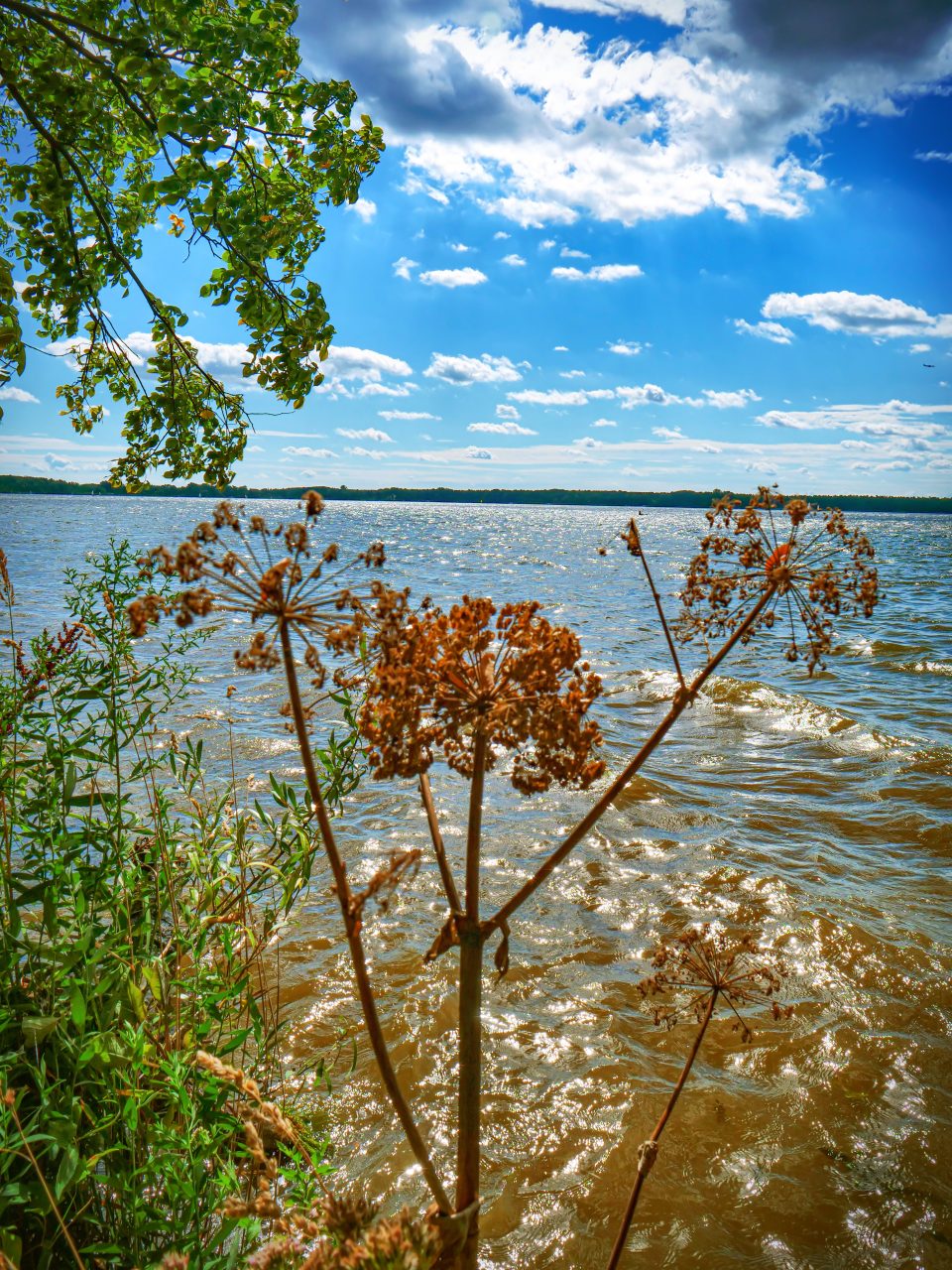 Am See