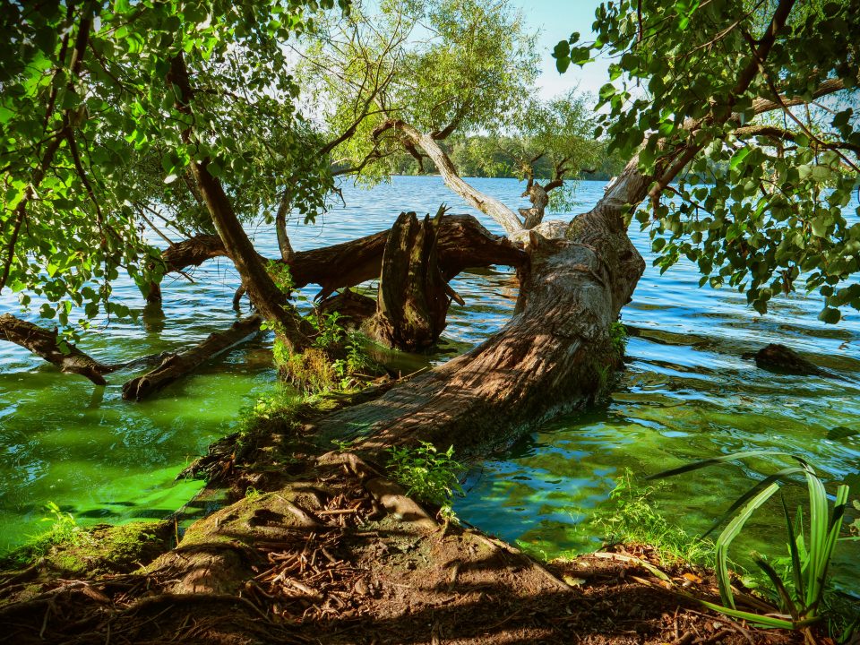 Am Fluss