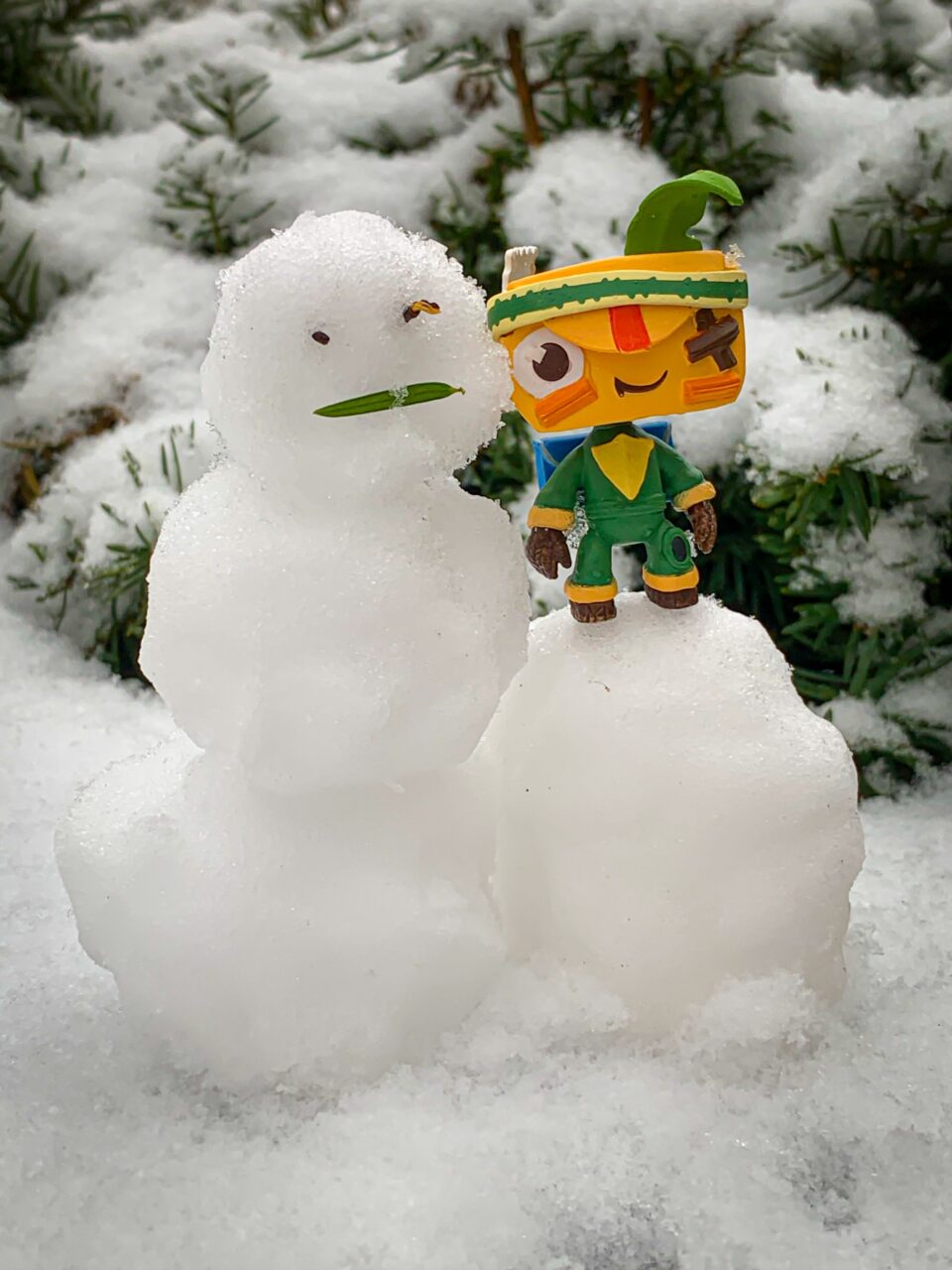 Iota im Schnee