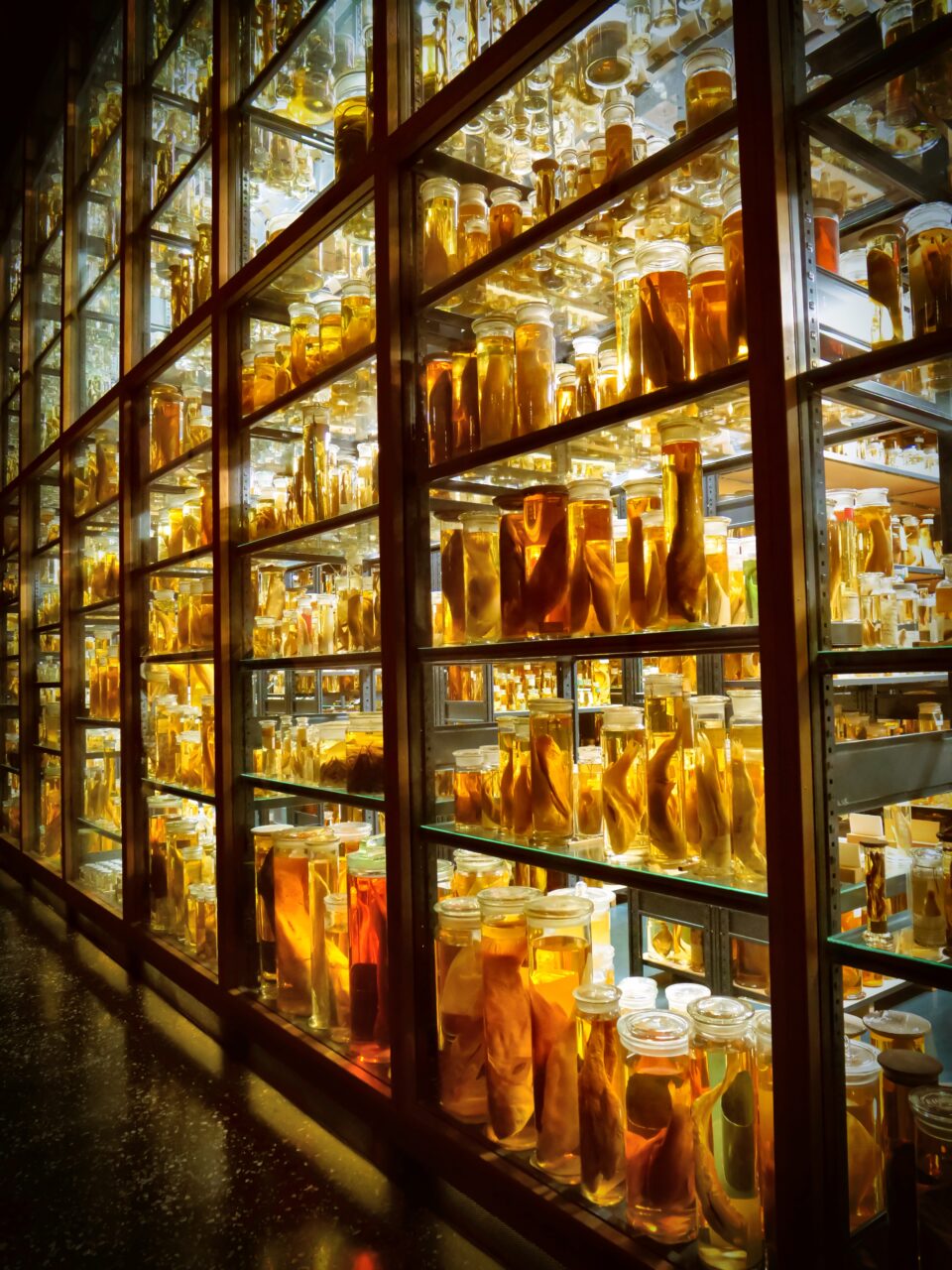 Im Museum