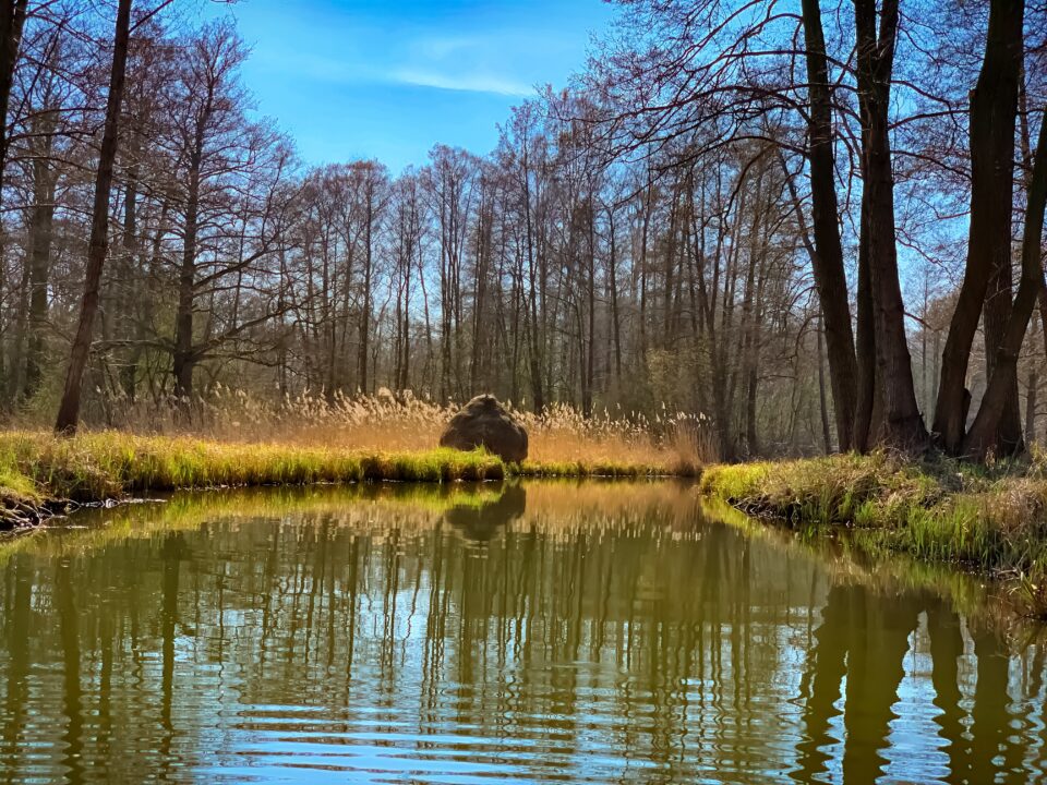 Unterwegs im Spreewald V