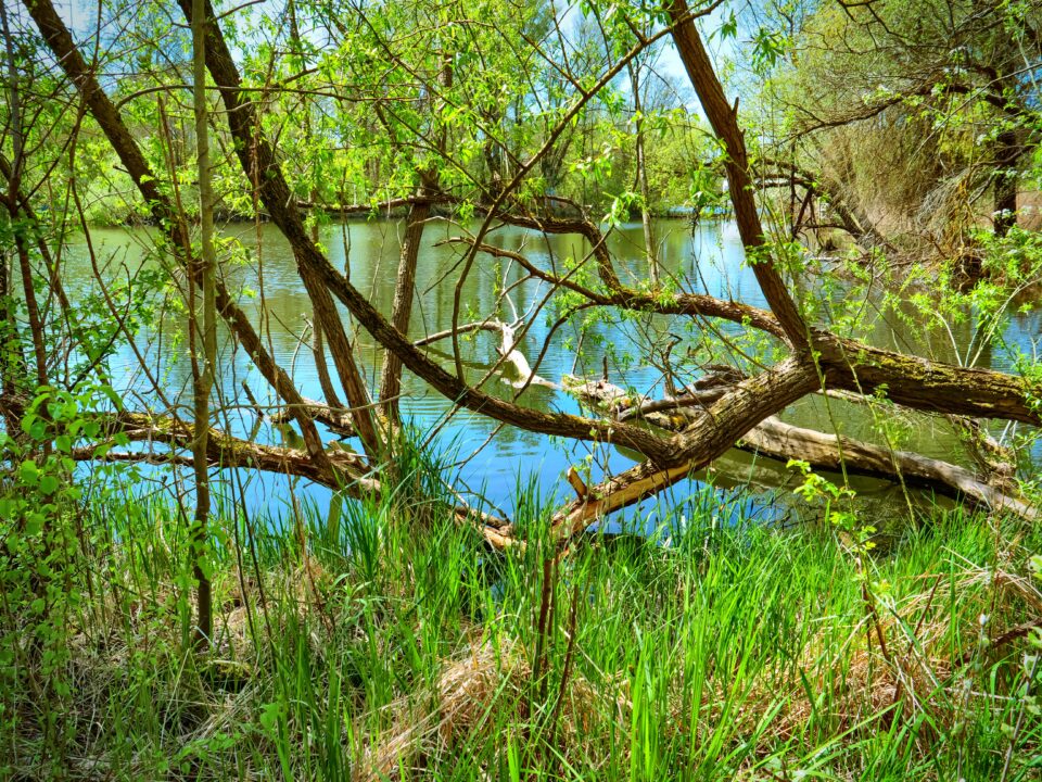 Am Kalksee