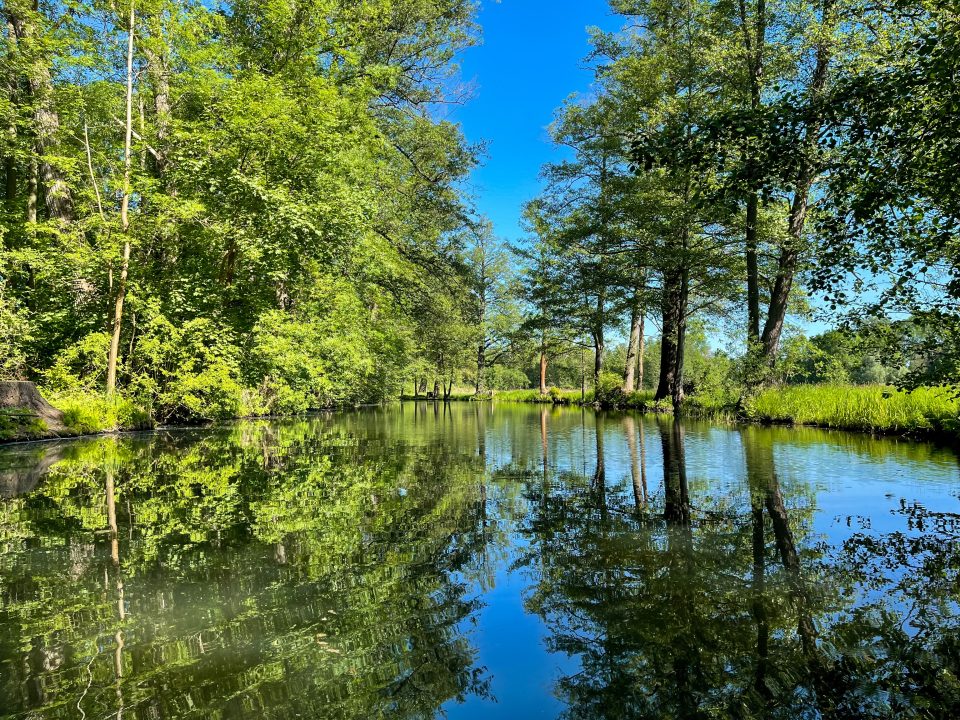 Unterwegs im Spreewald VI