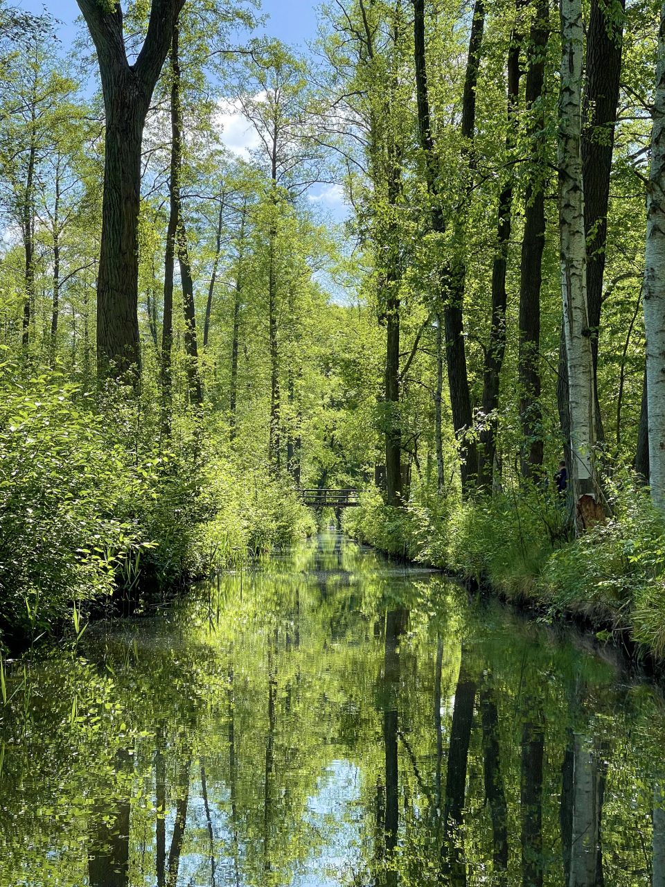 Unterwegs im Spreewald VIII