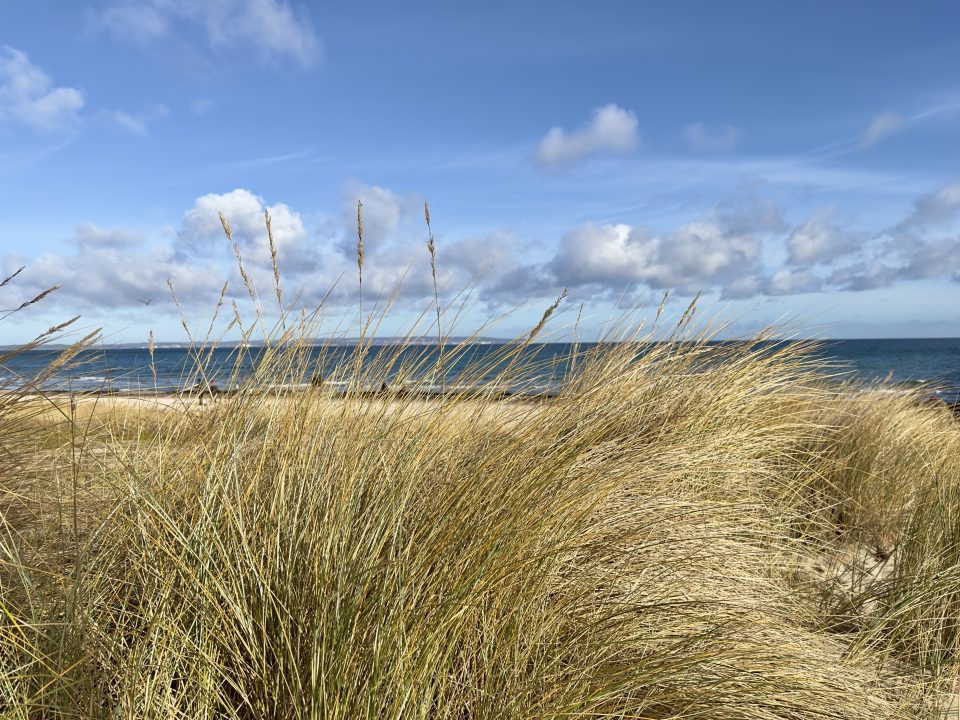 Strandeindrücke IX